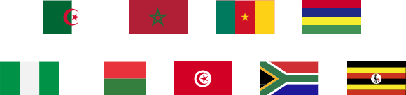 Africa Flags